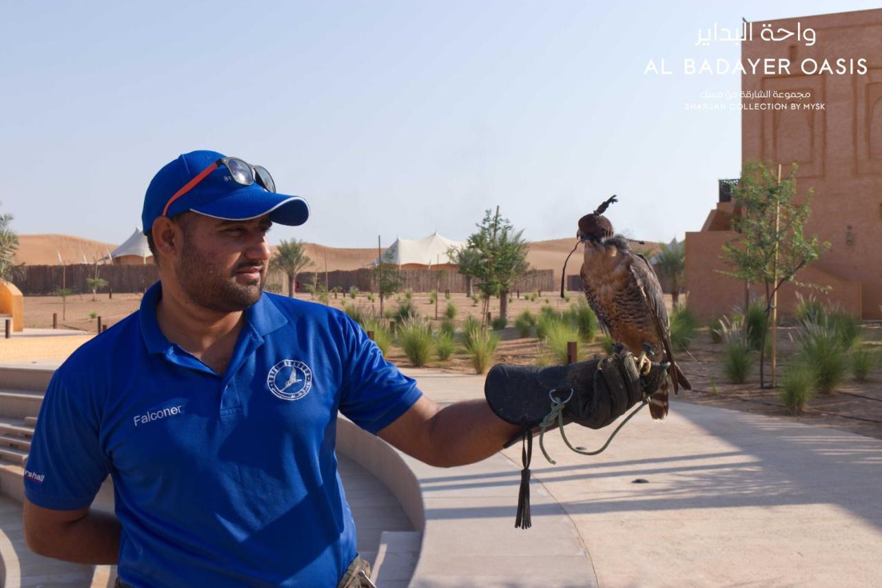 Al Badayer Retreat By Sharjah Collection Ξενοδοχείο Margham Εξωτερικό φωτογραφία Falconry in Al-Jahili Fort, Al-Ahsa, Saudi Arabia